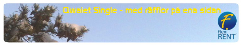 Qwaiet Single - med rfflor p ena sidan